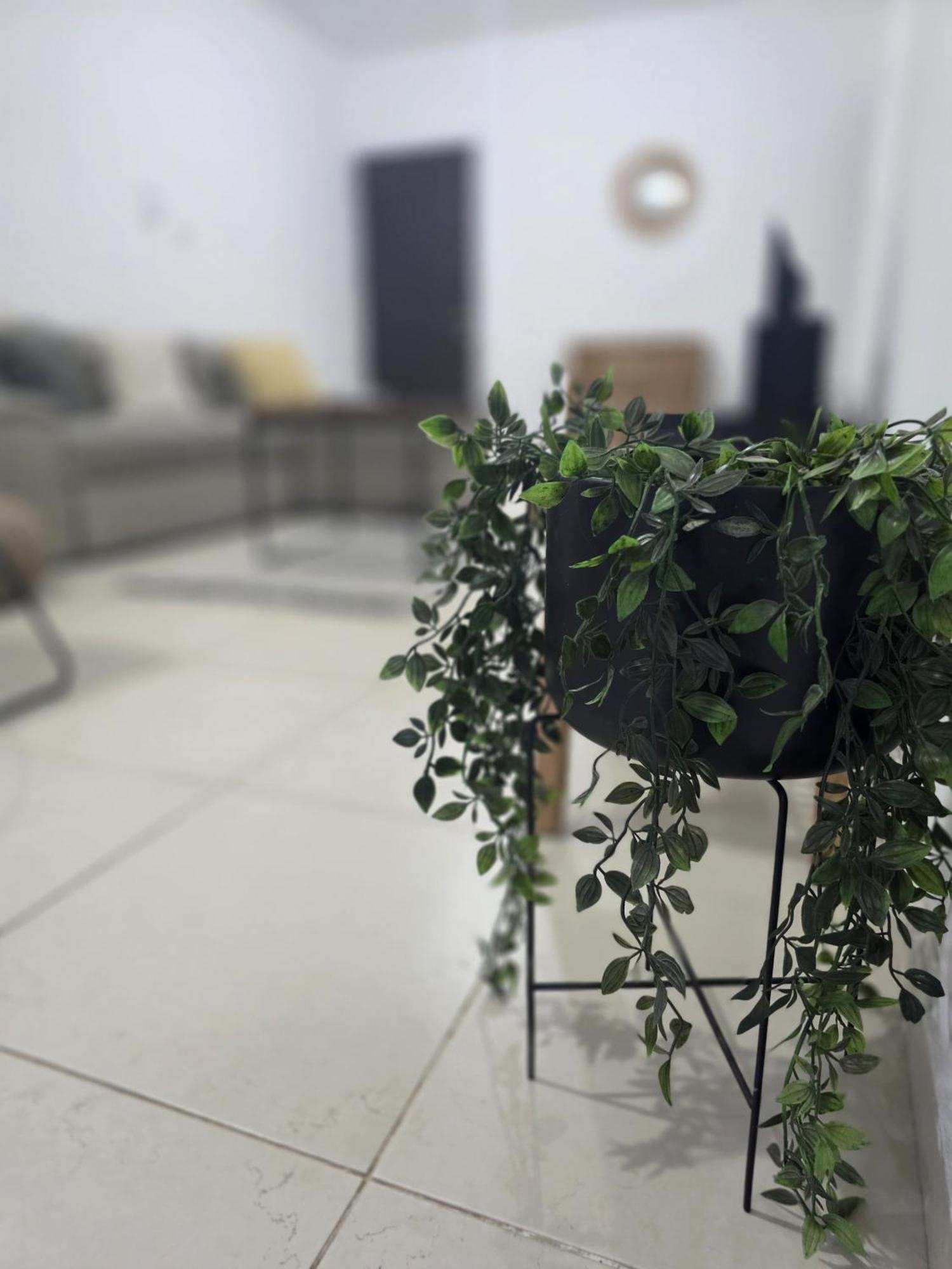 Epicurian Residence 尼科西亚 外观 照片